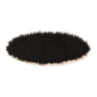 An oval shoe shine brush with horsehair bristles, with natural black bristles, wooden handle, on a white background.